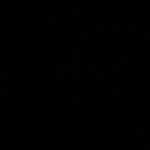 Meet your Posher, Traci